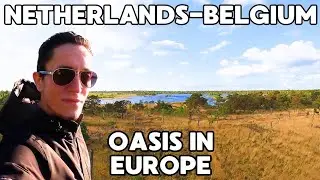 KALMTHOUTSE HEIDE | Solo Border Hiking 4k | BELGIUM & NETHERLANDS Travel Vlog