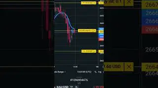 News live trading #exness #like #stockmarket #trading
