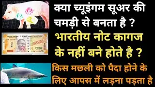 Do you know chewingum makes from pig skin ? Facts and knowledgeable video study gyan ki baten facts