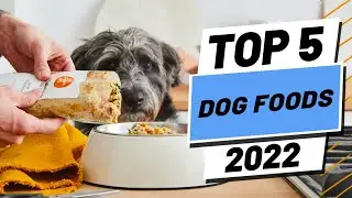 Top 5 BEST Dog Foods of [2022]