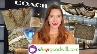 SHOPGOODWILL.COM MINI COACH HAUL/REVIEW 2020