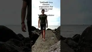 Solitude is a chosen separation #shorts #zen #quotes #meditation #motivation #calming #inspiration