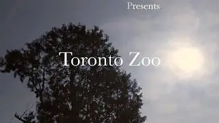 ATI Foundation: Field Trip to the ZOO!