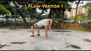 Flow version 1