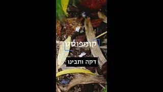 מזבל לזהב. איך הזבל שלנו יכול להיות האוצר של משהו אחר.