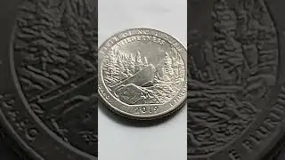 2019 Quarter