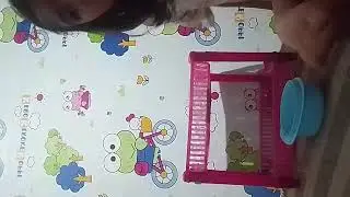 gak bisa ikut ASMR yg bagus