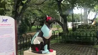 Siddhartha and leo chaichana in the park of cats Cali Colombia