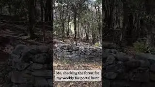 Fae Portal Hunt