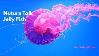 17.01.2026 |Nature Talk|Sis.Puspalatha|