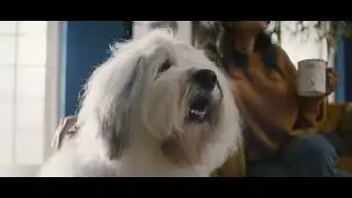 Dulux Pentalite 30sec TVC English
