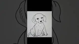 drawing a dog