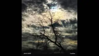 Jana Sleep   Mind Fog