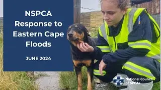 The NSPCA responds to Eastern Cape Foods in June 2024