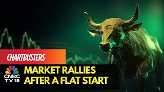 Sensex Gains 170 Points, Nifty Above 25,100; Metals, Pharma Stocks Rally | CNBC TV18