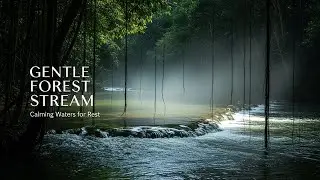 Natural Forest Ambience with Relaxing Water Flow for Study Meditation Inner Peace and Stress Relief