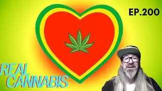 Real Cannabis ep. 200 - ft. Brandon Hudson w/ Chad Westport : Spider Farmer G8600