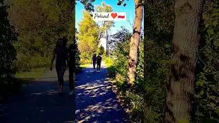 How People are Reacting to poland 🇵🇱 #polska #travel #warsaw #polandvlog #virtualtour #poland