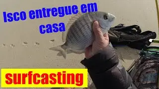 Top Baits- iscos de pesca frescos e entregues em casa.