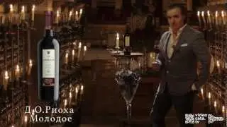 Дегустация Вина VALDELANA Tinto Joven DOC Rioja