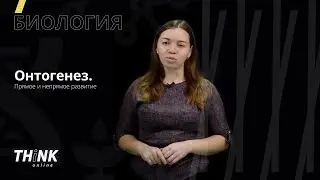 Онтогенез. Прямое и непрямое развитие | Биология