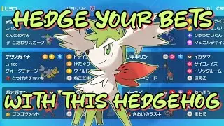 AIN'T NO SHAME IN USING SHAYMIN! VGC Regulation J!