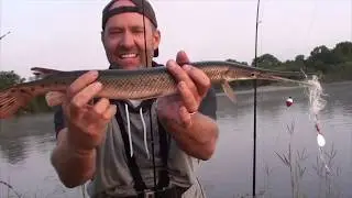 BEST Fishing Videos of 2019 by Tiefsa