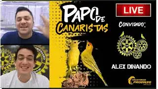 PAPO DE CANARISTAS - Ep. 10 - CRIATÓRIO CASA DAS MAQUIAS (ALEX DINANDO)