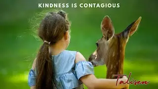 Kindness is Contagious - a warm, hopeful reminder that small acts matter.