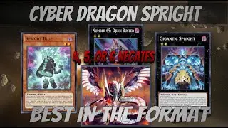 NEW CYBER DRAGON DECK PROFILE! OCTOBER 2022