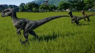 Jurassic World Evolution - Blue, Echo, Delta & Charlie vs Indoraptor (1080p 60FPS)
