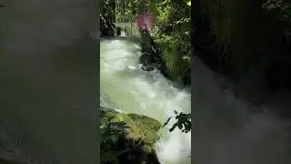 Peaceful Waterfall and Bird View with Calm Music | Nature Sounds for Meditation