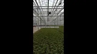 CleanLight demo monorail