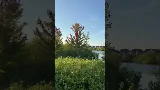 Evening walk #walk #evening #unstoppable #music #nature #shorts #viral #travel #canada