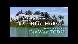 Best Things to Do in Key West 67: BLUE HOLE