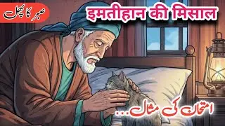 Imtihan Ki Misal Ek Ka Imtihaan | Urdu Stories #moralstory 