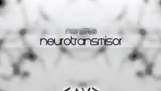 Nórdika - Vapor