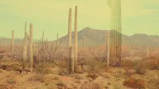 Misunderstood Sun - Carlos Arzate 