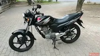 Review Honda Mega Pro Primus 2008