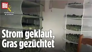 DROGEN-HAUS AUFGEFLOGEN: 42 Kilo Gras, Flucht &uuml;ber D&auml;cher, Knast f&uuml;r T&auml;ter