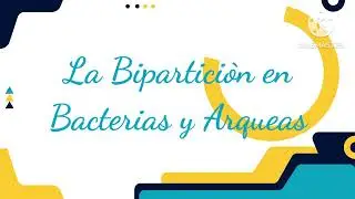 Proyecto Biolog&iacute;a
