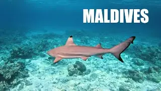 Maldives - Siyam World - Part 2