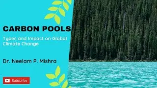 Carbon Pools | Types of Carbon Pools and Impact on Global Climate Change | Fully Explained