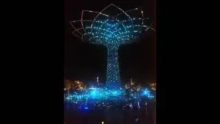 Expo 2015 - Spettacolo Alberto della Vita - 20151009 202635