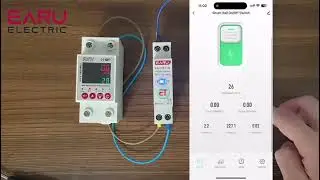 Tuya WiFi Smart Circuit Breaker MCB 1P+N 63A Timer Power Energy kWh