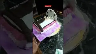 Beautiful Doll cake ||Indian cake Works|| #shorts #viral #cake