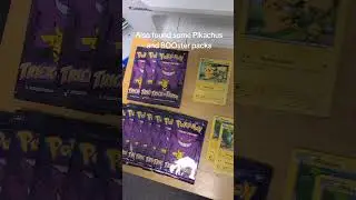 Scanning Two Pok&eacute;mon Boxes&hellip; Found Fakes, Hits, and a Surprise