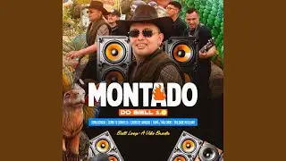 Montado do Biell 1.0: Toma Botada / Como Tu Como Ela / Carro de Bandido / Tain&aacute; / N&atilde;o Sirvo /...