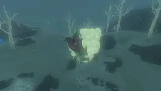 Korok seeds | Selmie's Spot | Hebra Tower #39 | Zelda BOTW