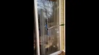 Wagtail Combi Squeegee Residential - Window Cleaning Technique